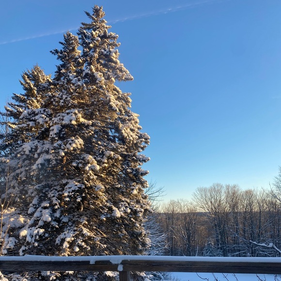 Meet your Posher, Zoe - Picture 1 of 1